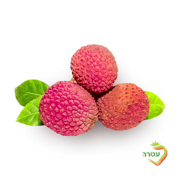 Packed lychees