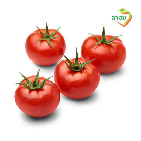 Tomatoes, packed