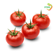Tomatoes, packed