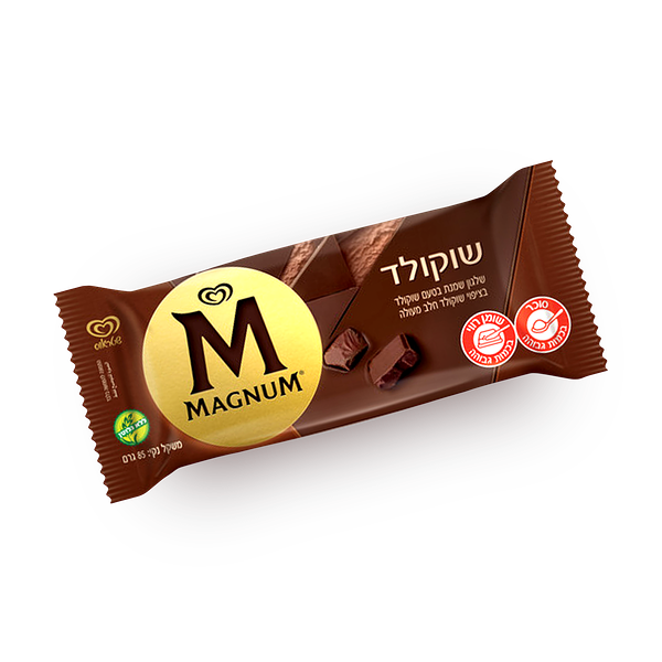 Magnum chocolate ice cream bar