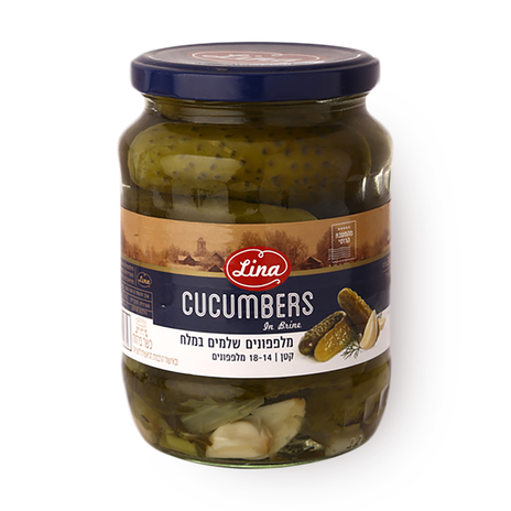 LINA cucumbers IN BRINE
