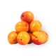 Абрикос гладкий