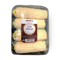 White sweet Corn pack