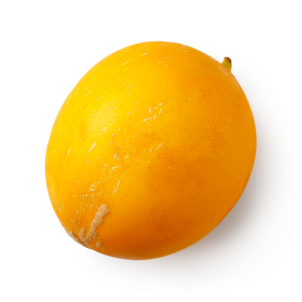 Дыня Медовая Бразилия