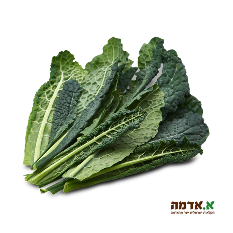 Kale leaves-pack