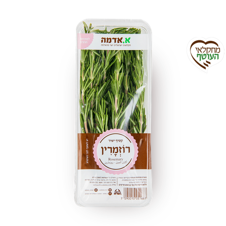 רוזמרין - ארוז