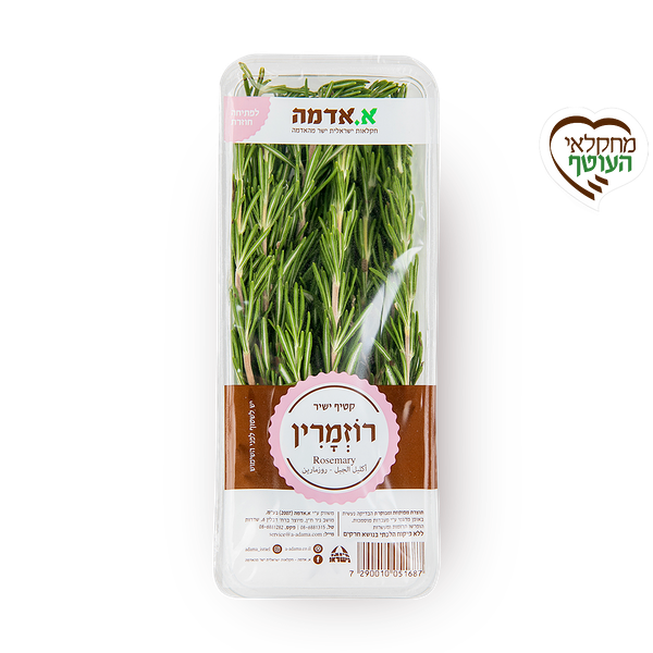 רוזמרין - ארוז