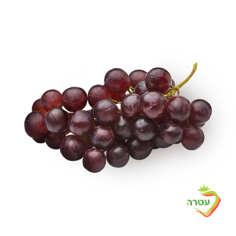 Red grapes