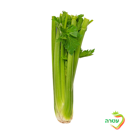 Celery