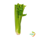 Celery