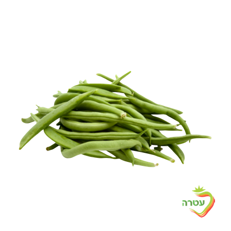 Fresh whole green beans