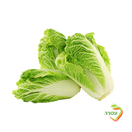 Chinese cabbage