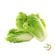 Chinese cabbage