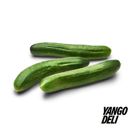 Cucumber