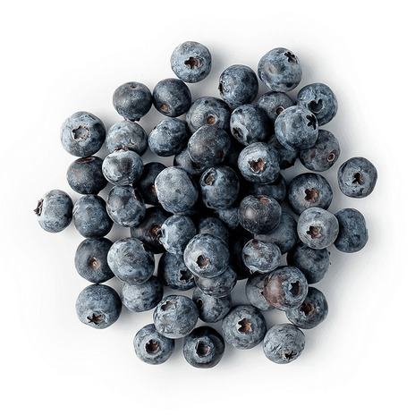 Голубика Juicy Garden