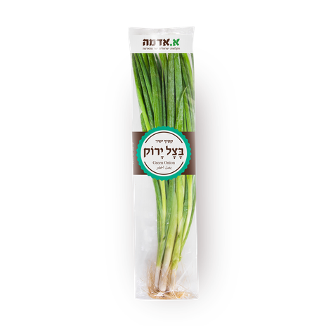 Green onions- packed