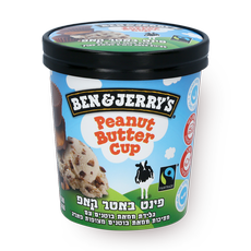 Ben&Jerry's Peanut butter ice cream pint