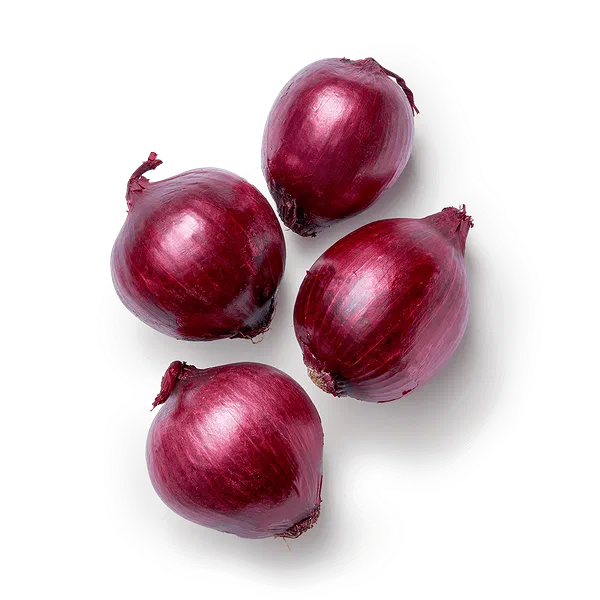 Лук красный Казахстан