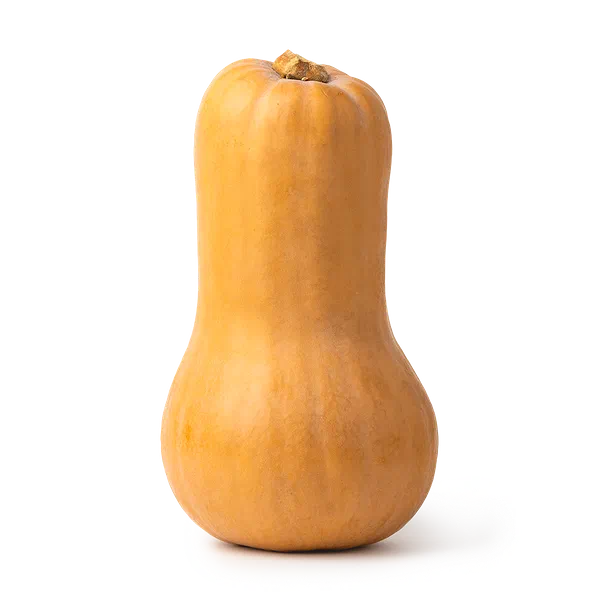 Тыква Японка