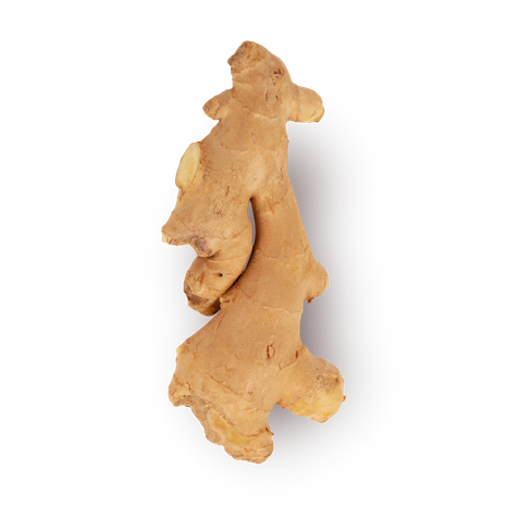 Имбирь Everyday Fresh