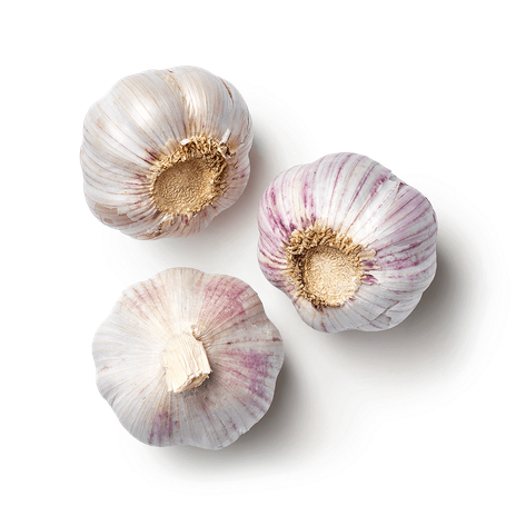 Чеснок Everyday Fresh