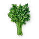 Петрушка голландская Novagreen