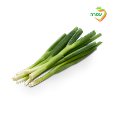 Premium green onions packed unit