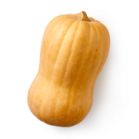 Тыква Баттернат Mir