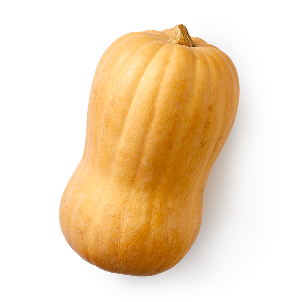 Тыква Баттернат Mir