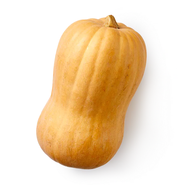 Тыква Баттернат Mir