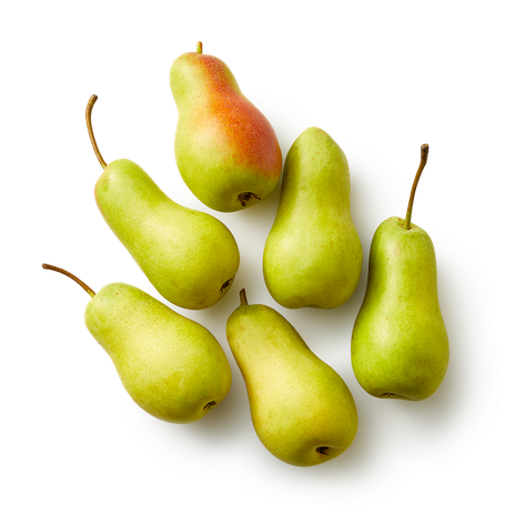 Груша Лесная Mir