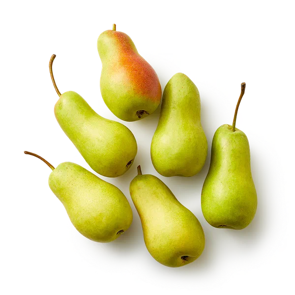 Груша Лесная Mir