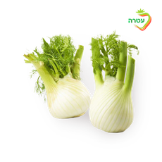 Fennel, packed
