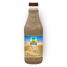 Yotvata Mocca flavored milk drink 2%