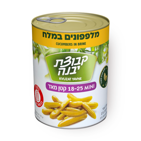 מלפפון קטנים במלח ‏25‏-‏18‏ ‏