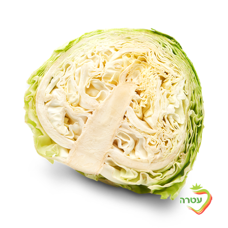 White cabbage, packed