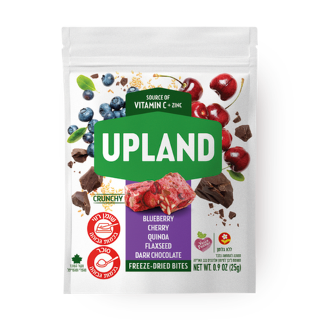 Upland blueberry and chocolate cubes