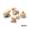 Champignon mushrooms-packed