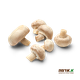Champignon mushrooms-packed