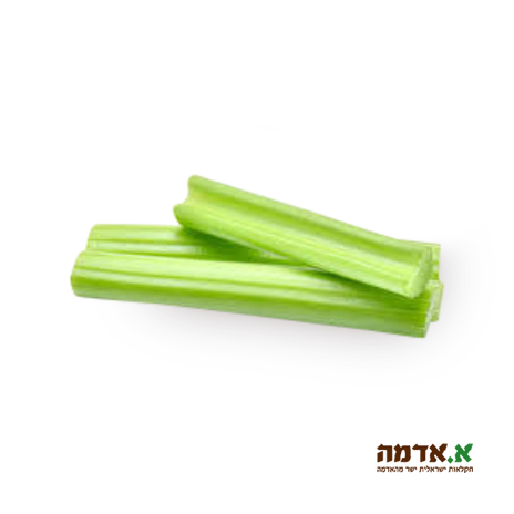 Chopped celery