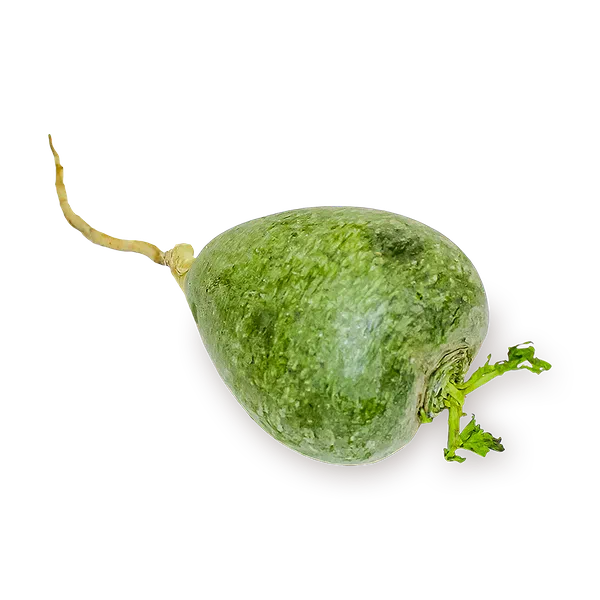 Редька