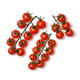 Помидоры Черри на ветке «Сладкая ягода»