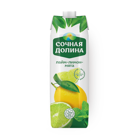 Напиток лимон-лайм-мята «Сочная долина»