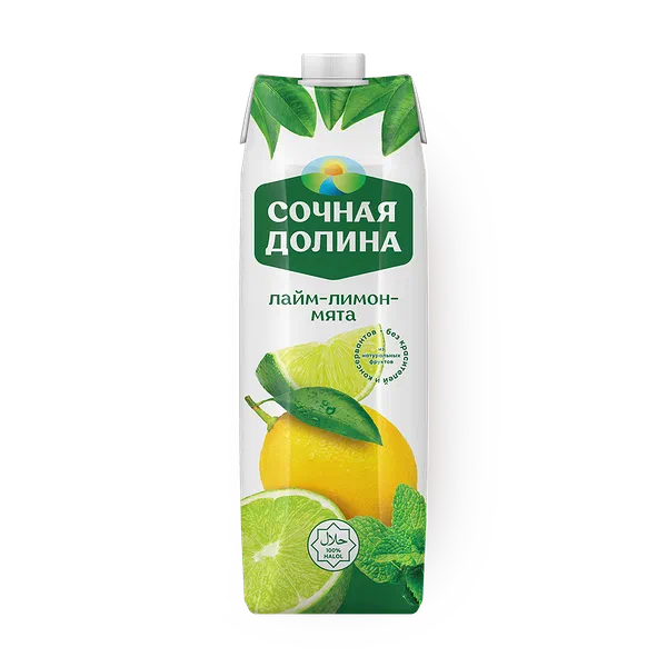 Напиток лимон-лайм-мята «Сочная долина»