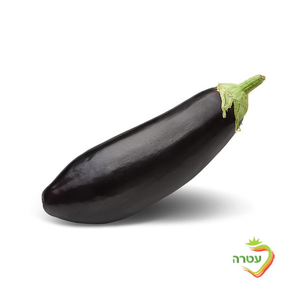 Eggplant