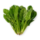 Шпинат Tandau