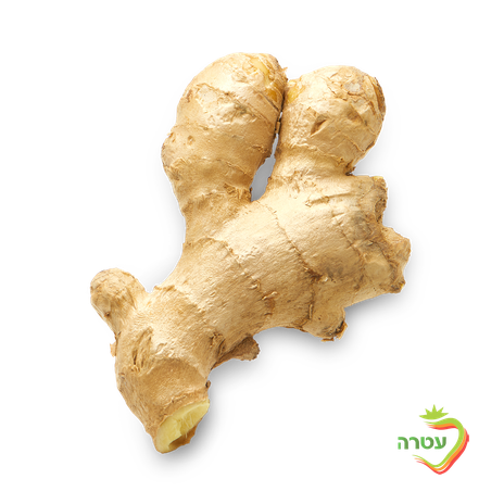 Ginger, packed