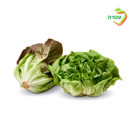 Lettuce Salanova, packed