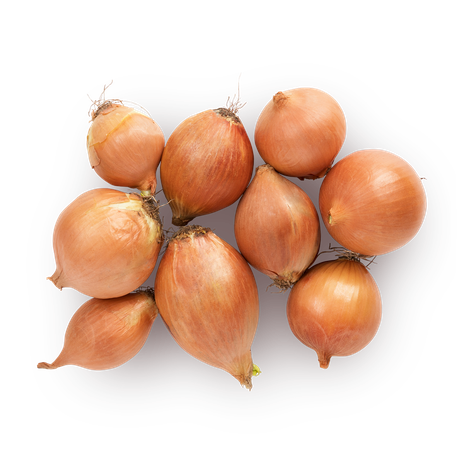 Лук репчатый Everyday Fresh