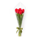 Букет из 5 красных тюльпанов